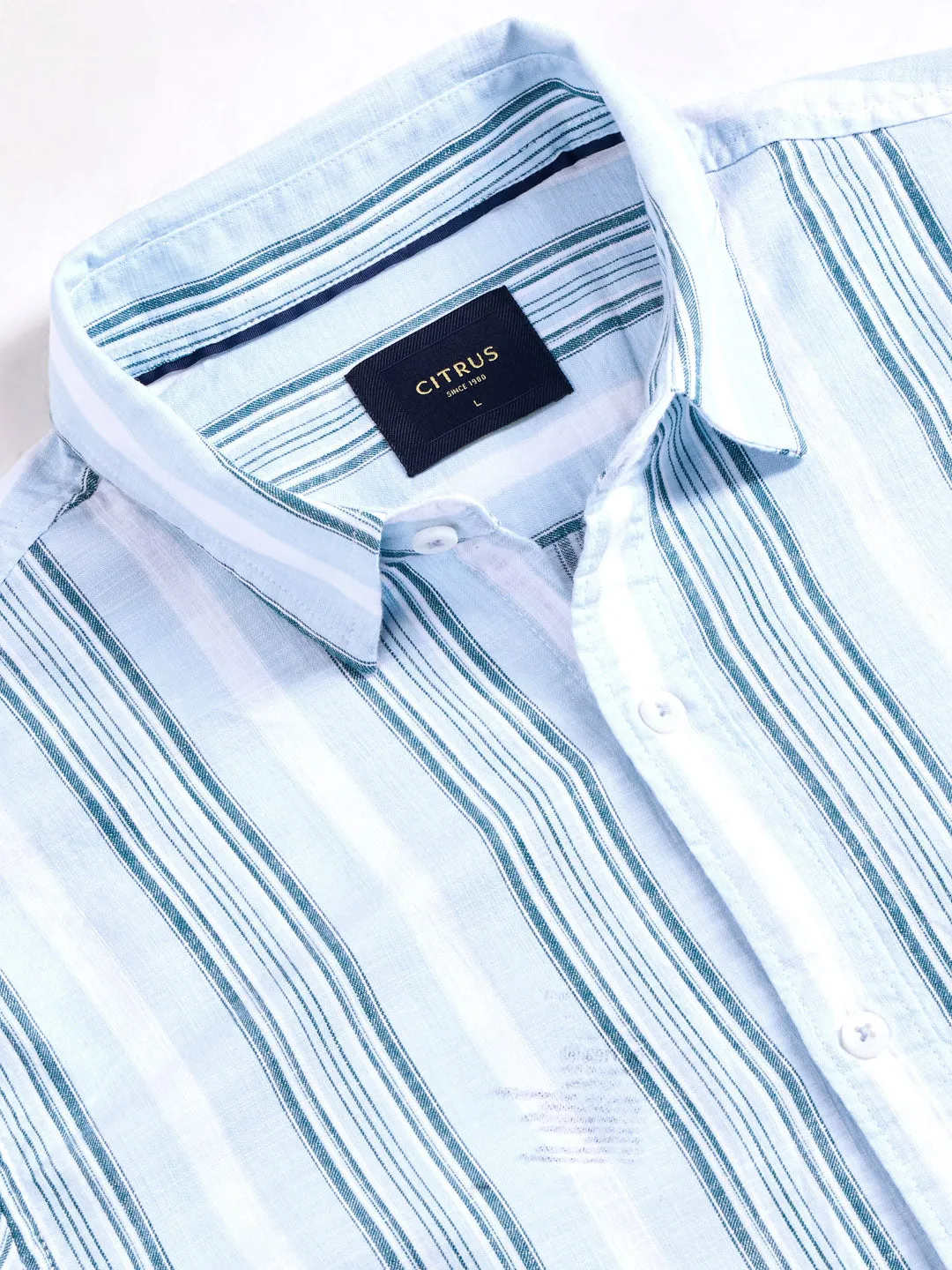 Blue Striped Slim Fit Casual Shirt