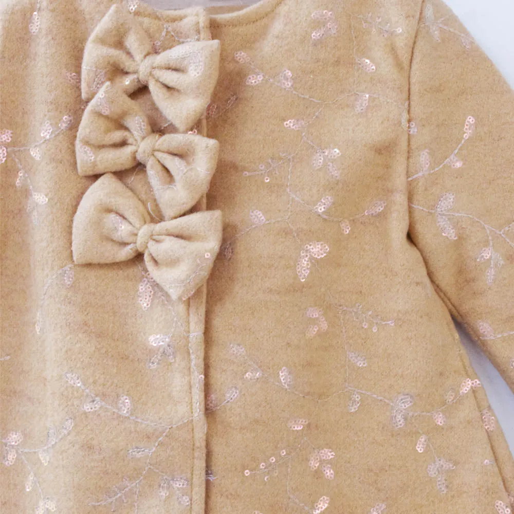Brown Winter Coat Dress