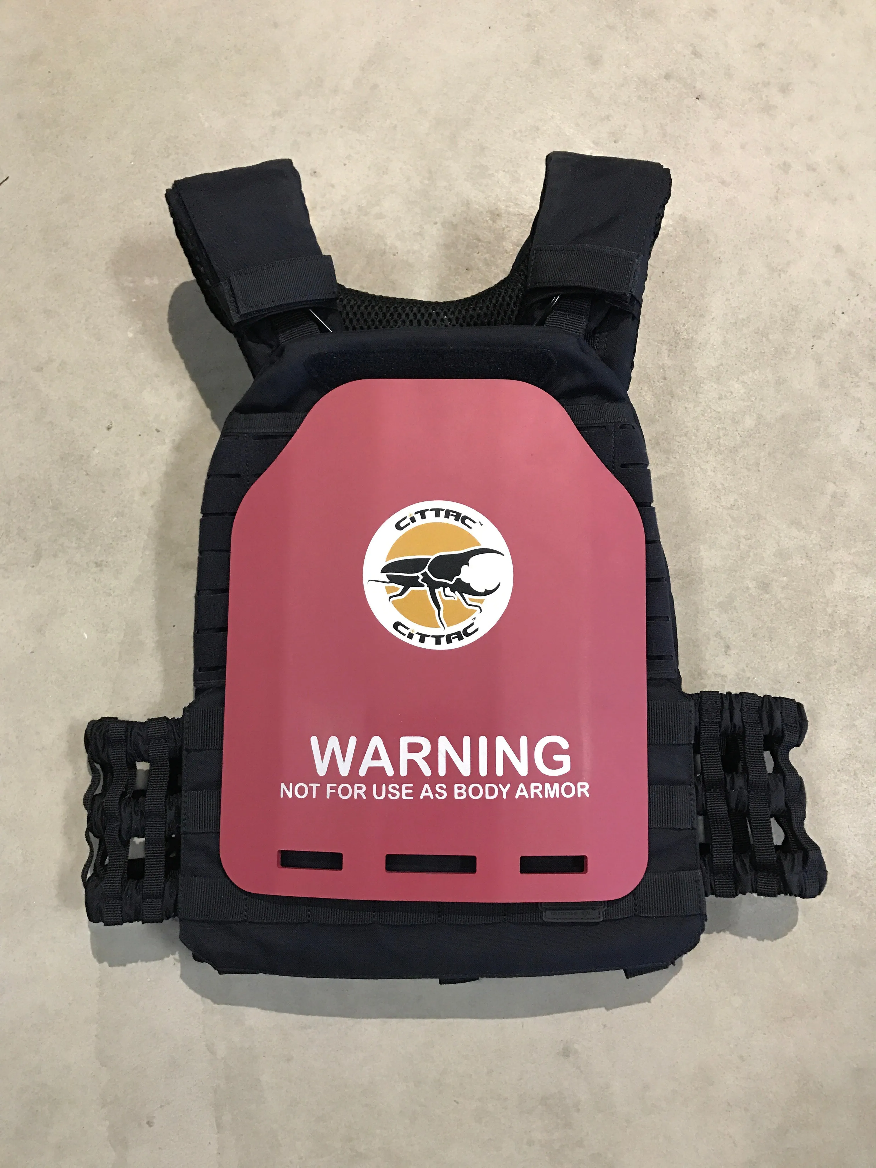 Cittac Fitness Plates - Pink