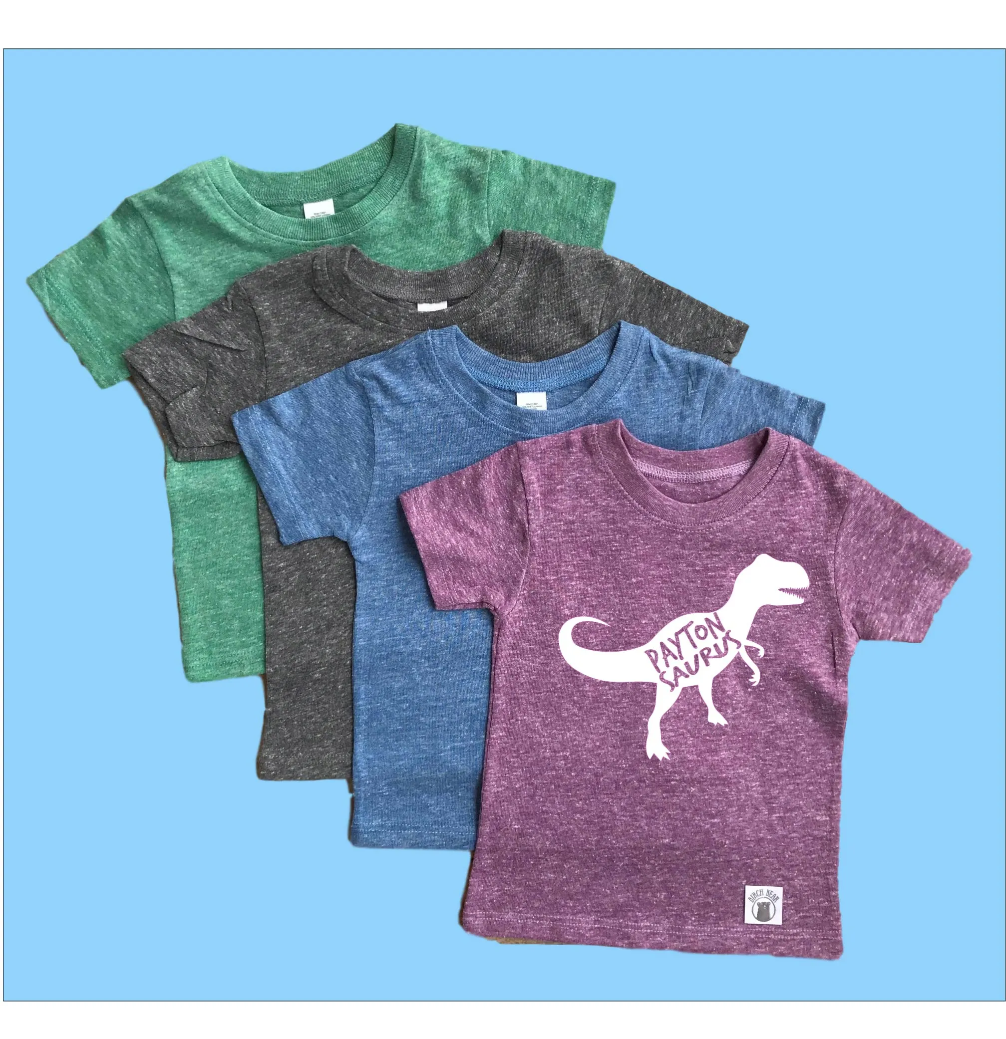 Custom Dinosaur Shirt